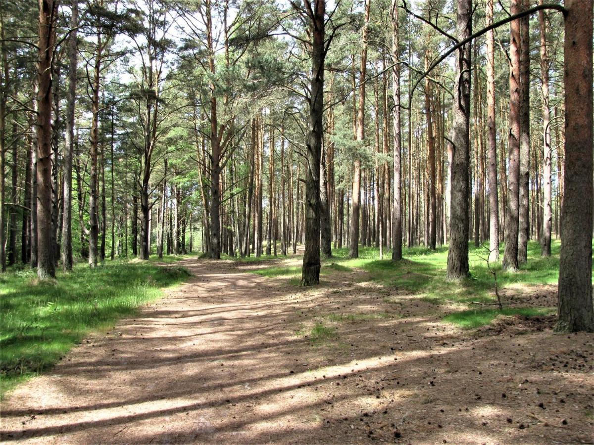 Biale Domki Lubiatowo Lubiatowo  Exteriör bild