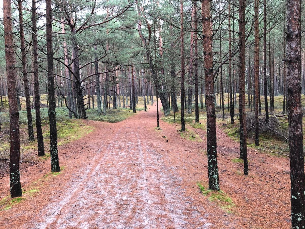 Biale Domki Lubiatowo Lubiatowo  Exteriör bild
